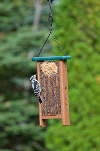 Jim's Birdacious Bark Butter